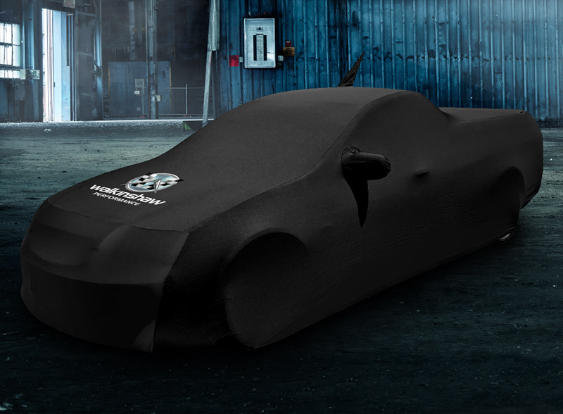 The best indoor car covers